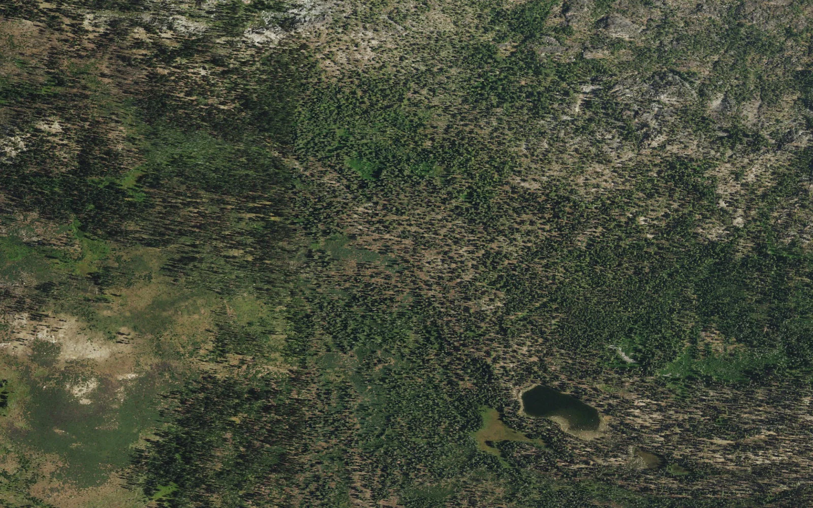 Aerial view centered on Harden Lake camp area