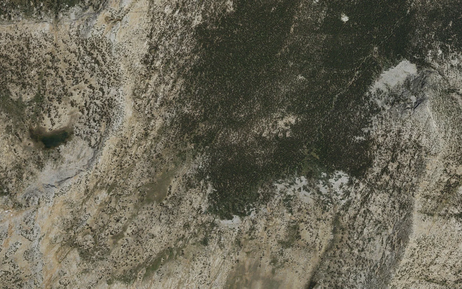 Aerial view centered on Ireland Lake camp area