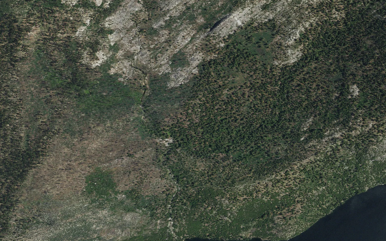 Aerial view centered on Lake Eleanor (North) camp area