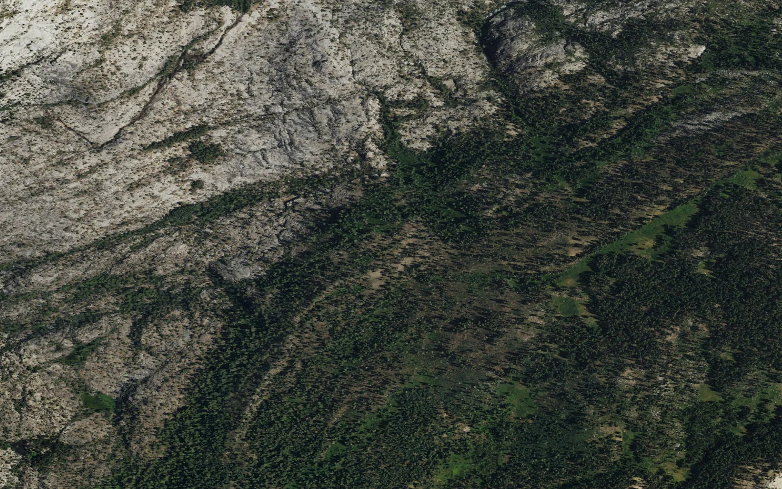 Aerial view centered on Lake Vernon camp area