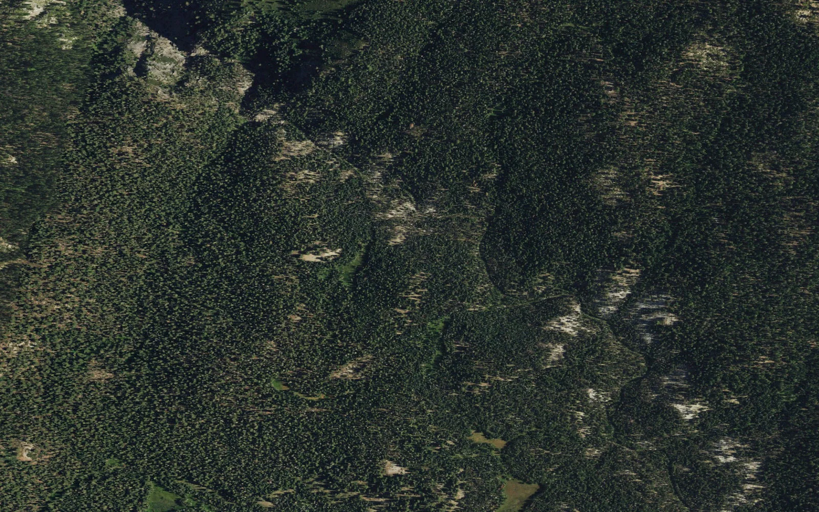 Aerial view centered on Lower Bridalveil Creek camp area