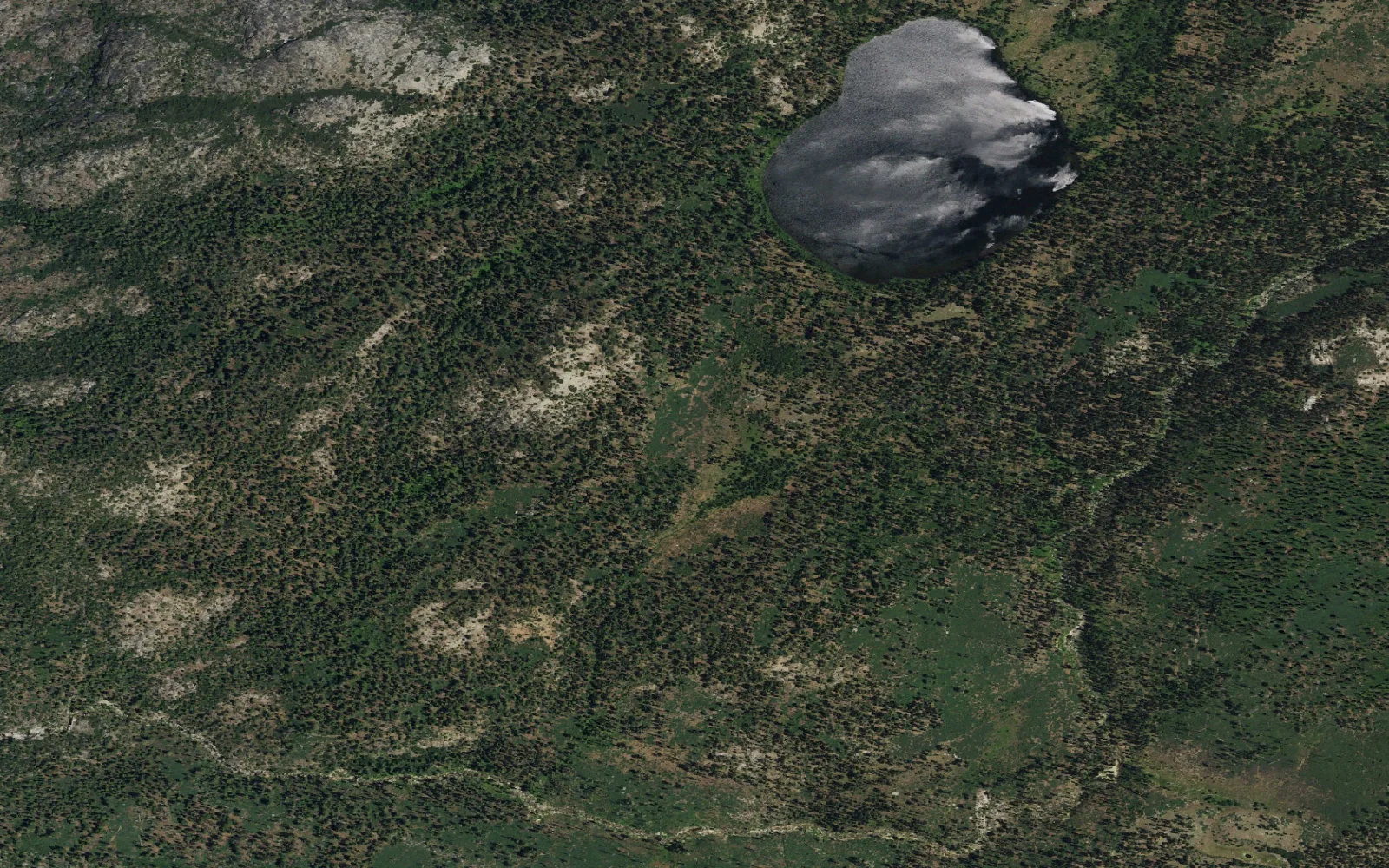 Aerial view centered on Lower Frog Creek camp area
