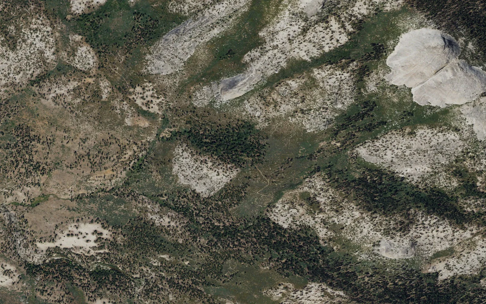 Aerial view centered on Lower Illilouette Creek camp area