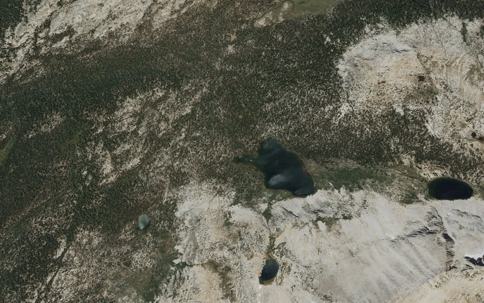 Aerial view centered on Lower McCabe Lake camp area