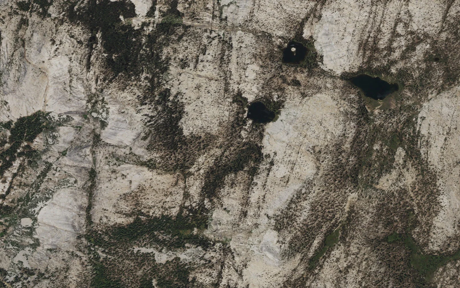 Aerial view centered on Lower Sunrise Lake camp area