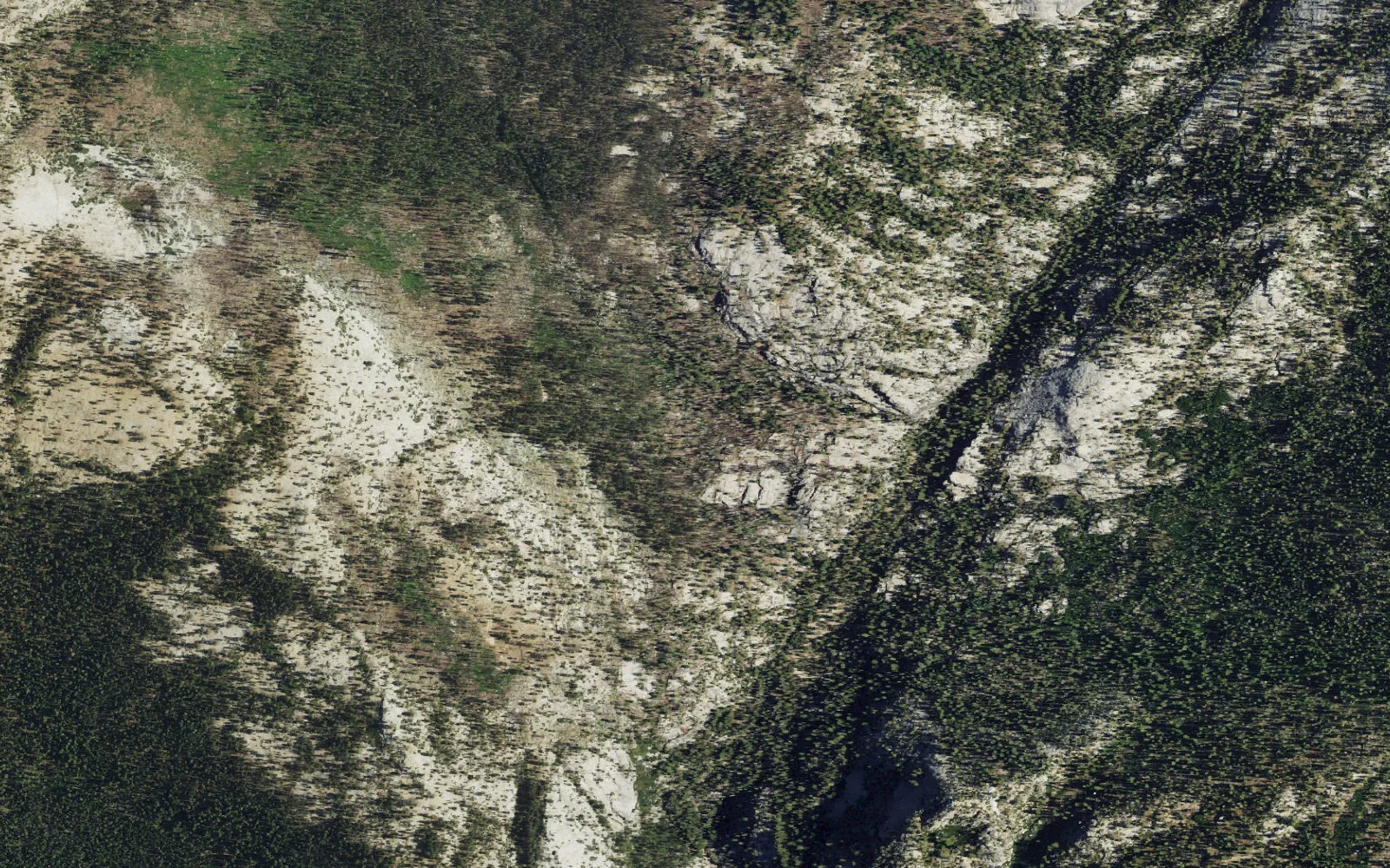 Aerial view centered on Lower Yosemite Creek camp area