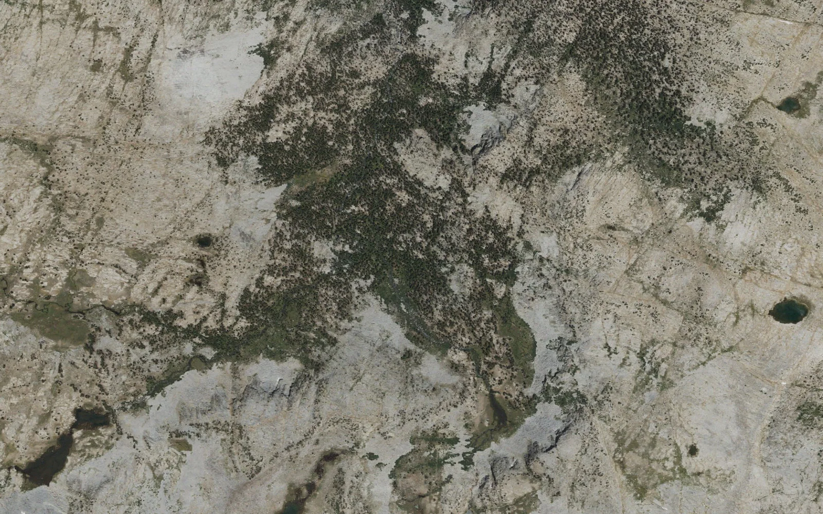 Aerial view centered on Lyell Footbridge/Basecamp camp area