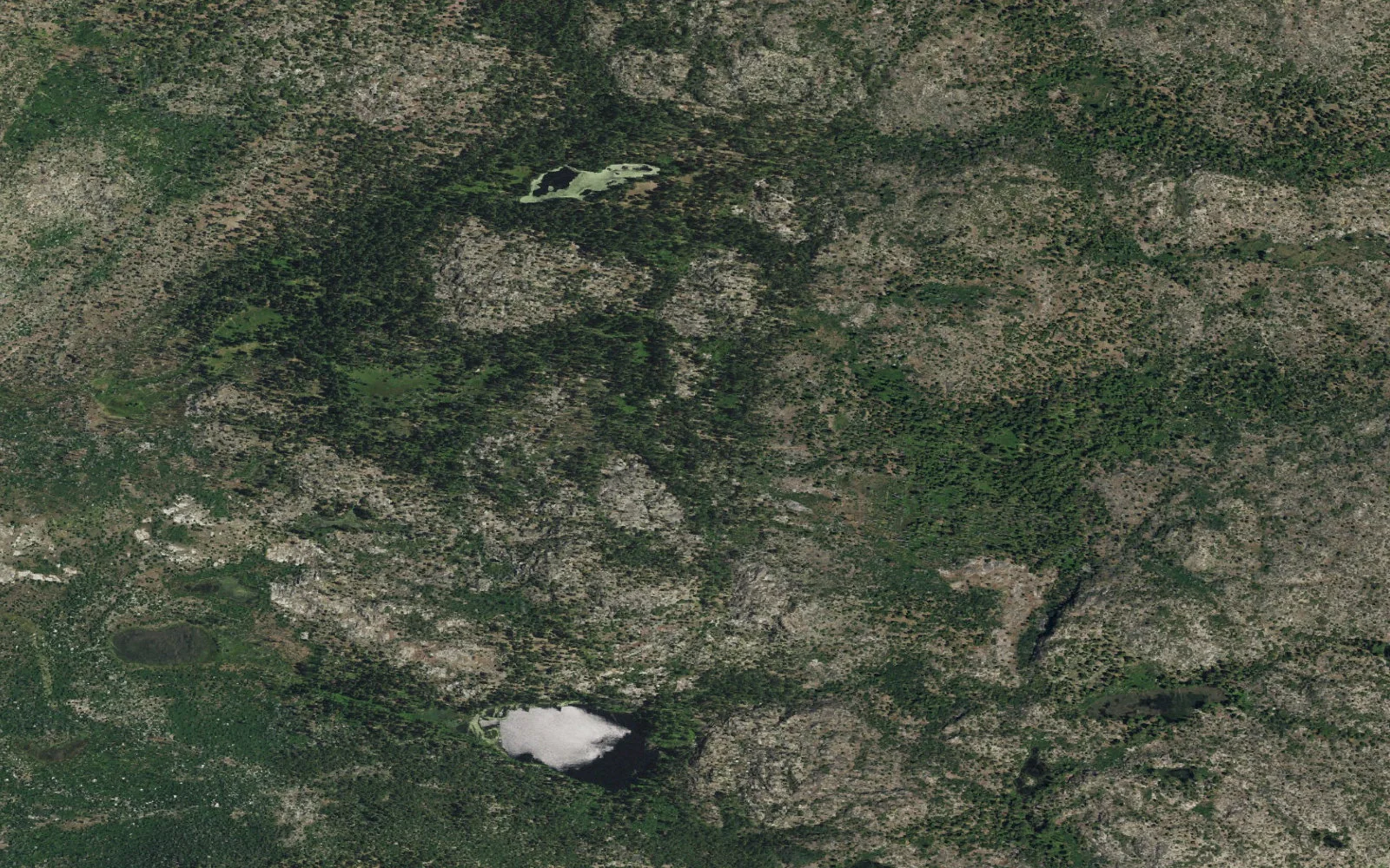 Aerial view centered on Miguel Meadow camp area