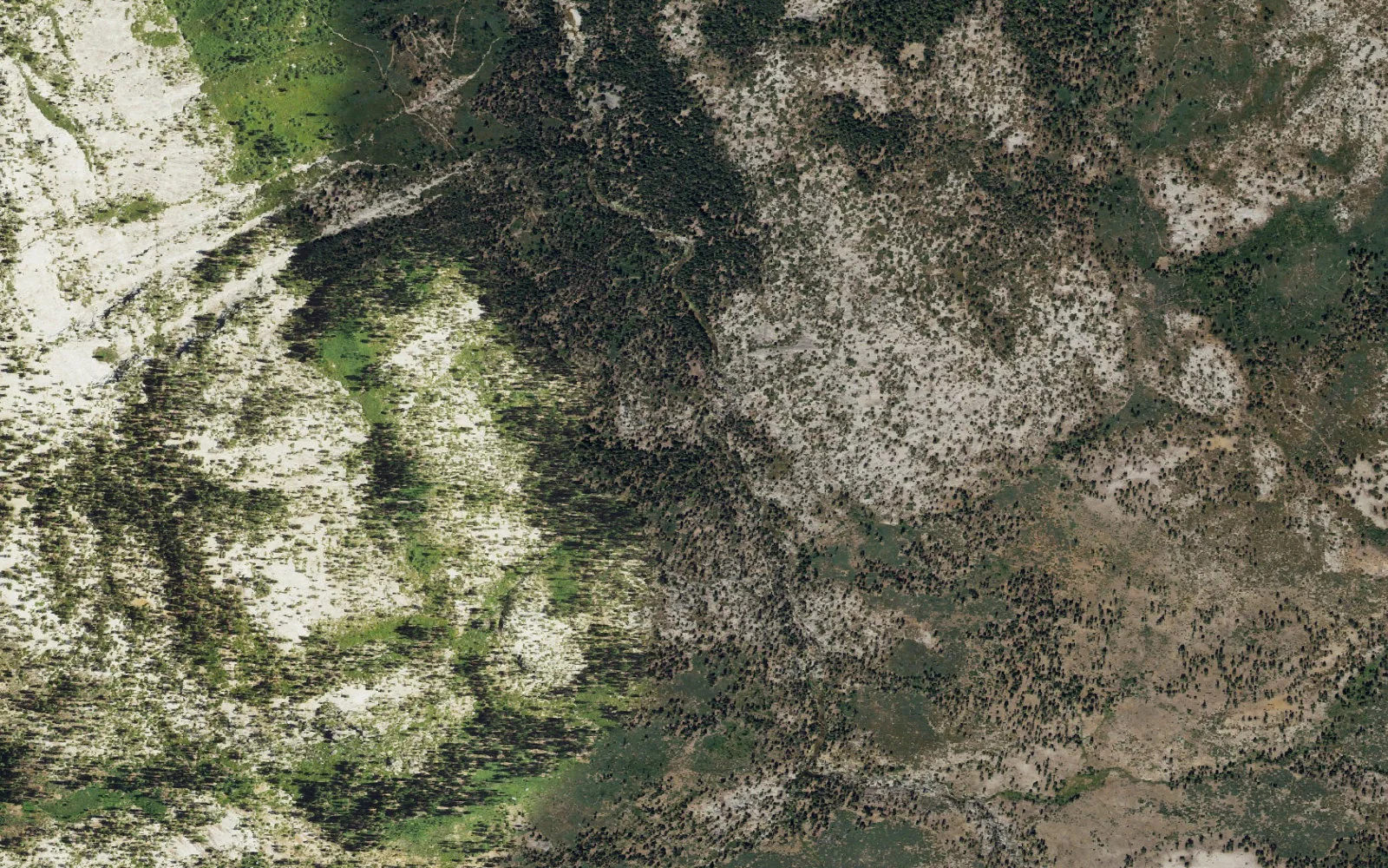 Aerial view centered on Mono Meadow camp area