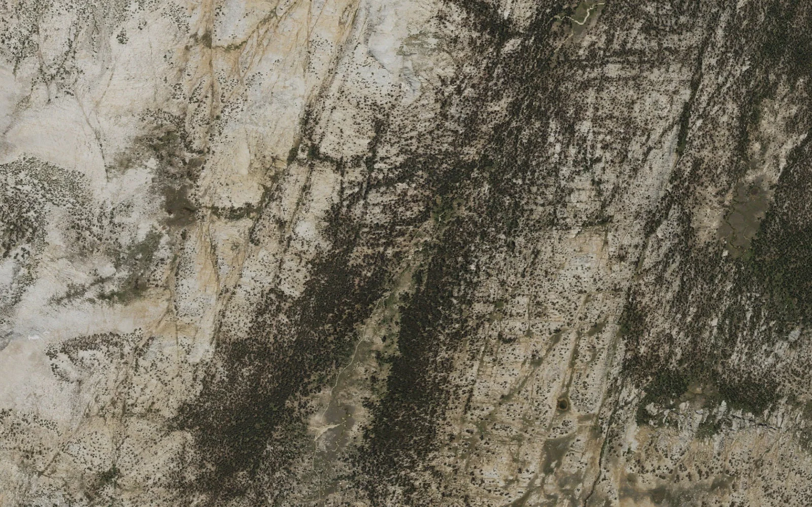 Aerial view centered on Rafferty Creek camp area