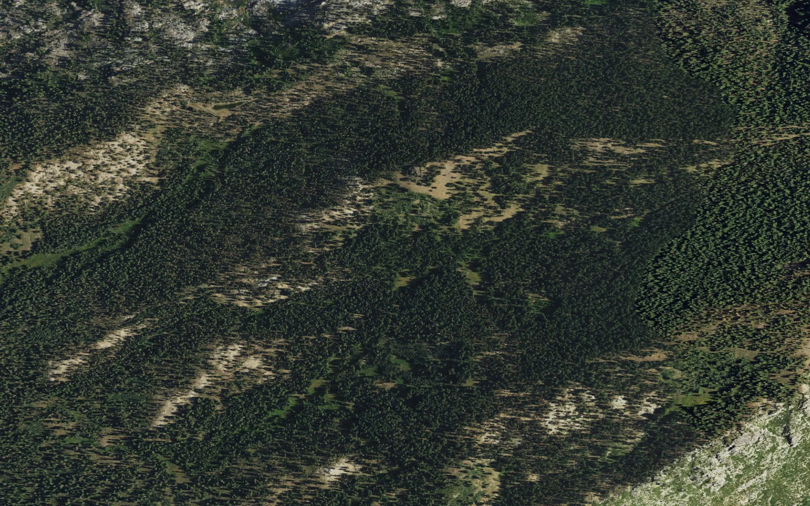 Aerial view centered on Rancheria Mountain camp area