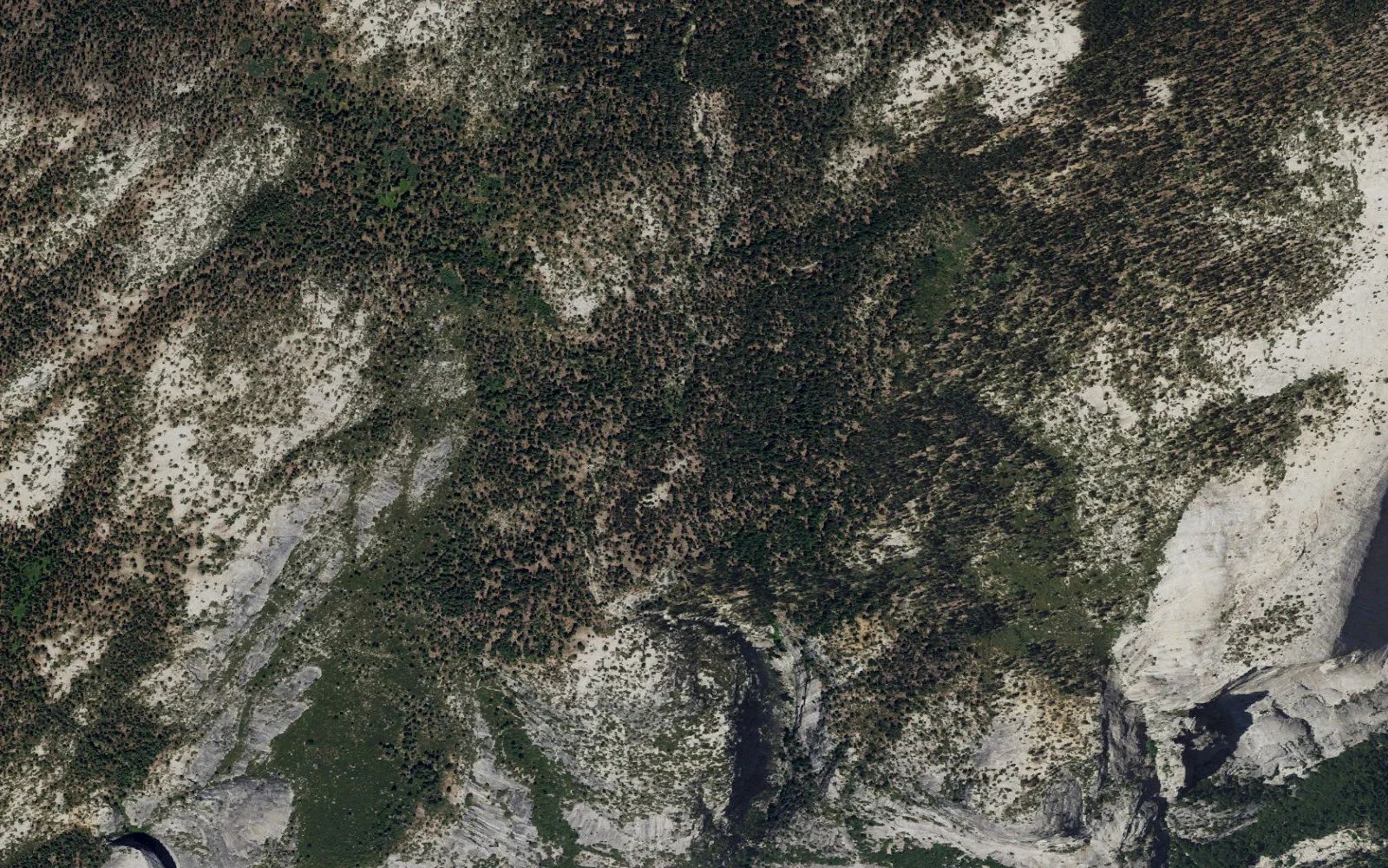 Aerial view centered on Snow Creek camp area