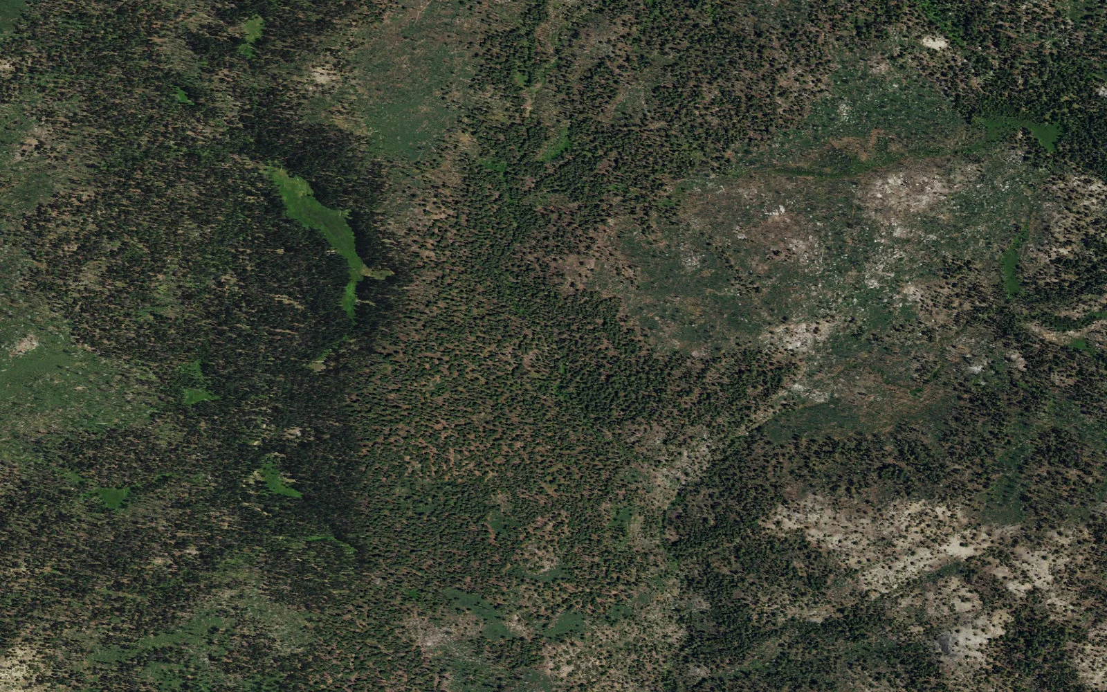 Aerial view centered on South Fork Tuolumne River camp area