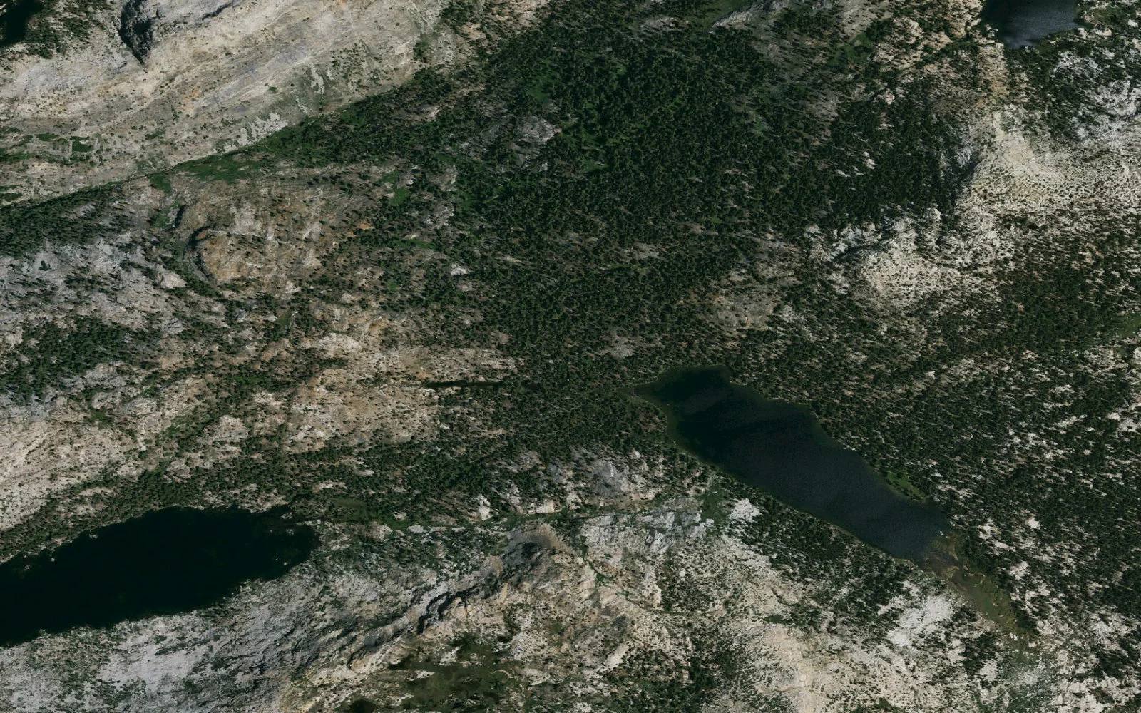 Aerial view centered on Twin Lakes camp area