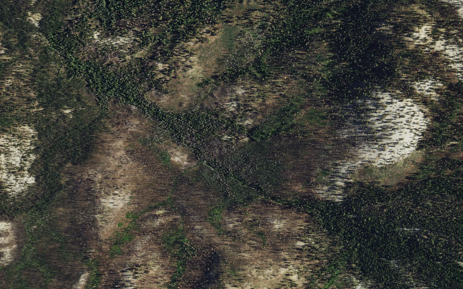 Aerial view centered on Upper Bridalveil Creek camp area