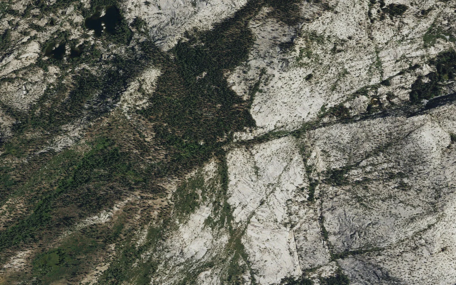 Aerial view centered on Upper Frog Creek camp area
