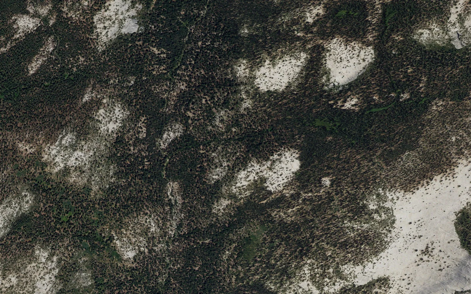 Aerial view centered on Upper Snow Creek camp area