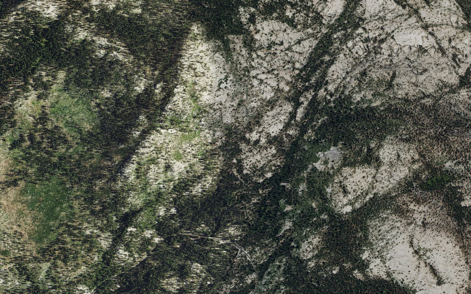 Aerial view centered on Upper Yosemite Creek camp area