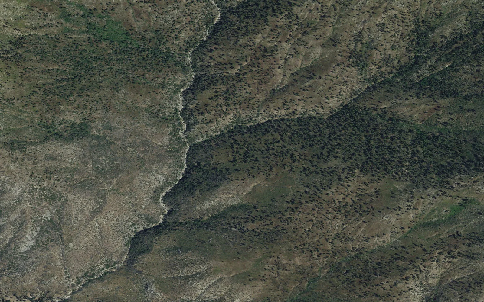 Aerial view centered on Lewis Creek Trailhead