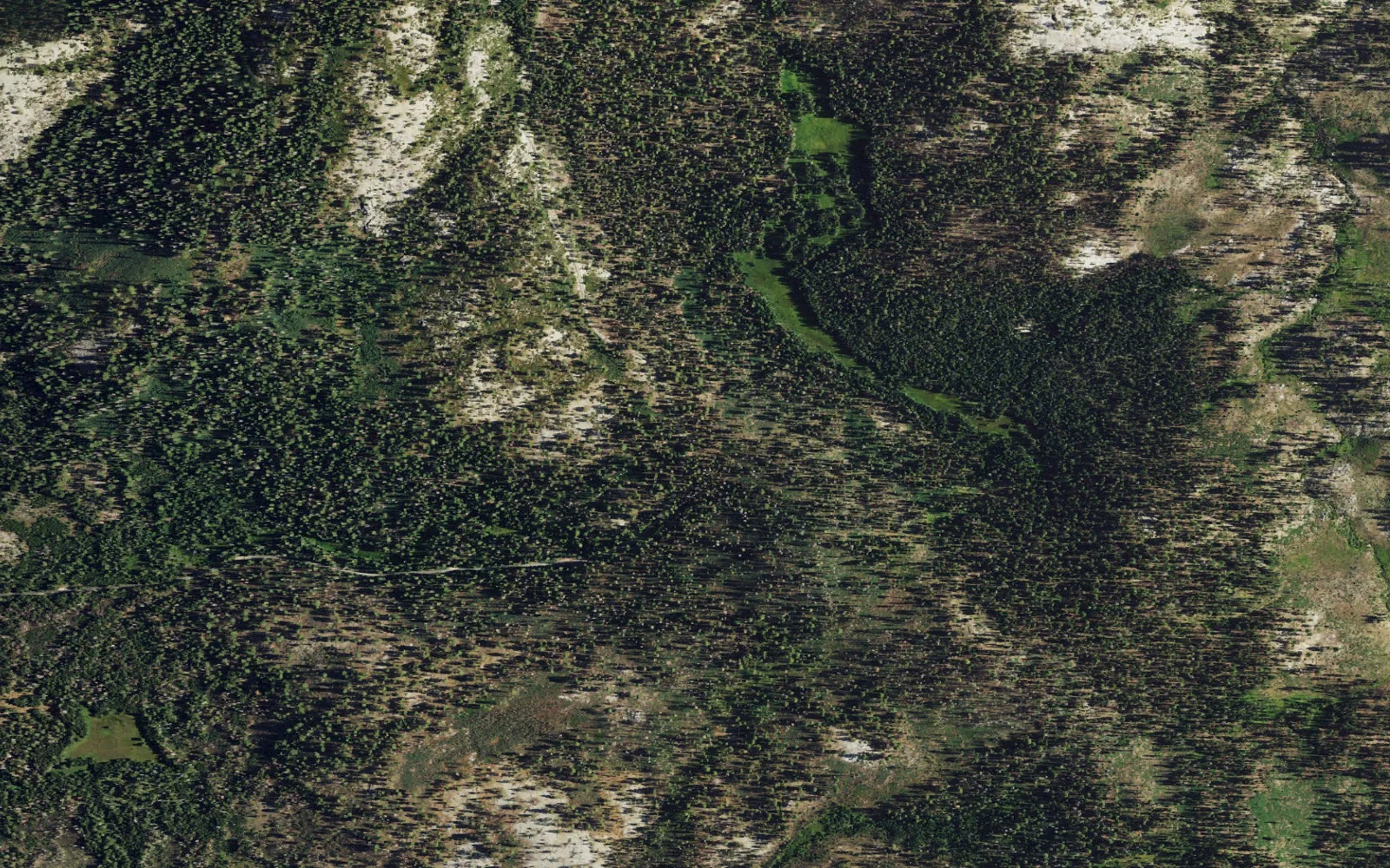 Aerial view centered on Mono Meadow Trailhead