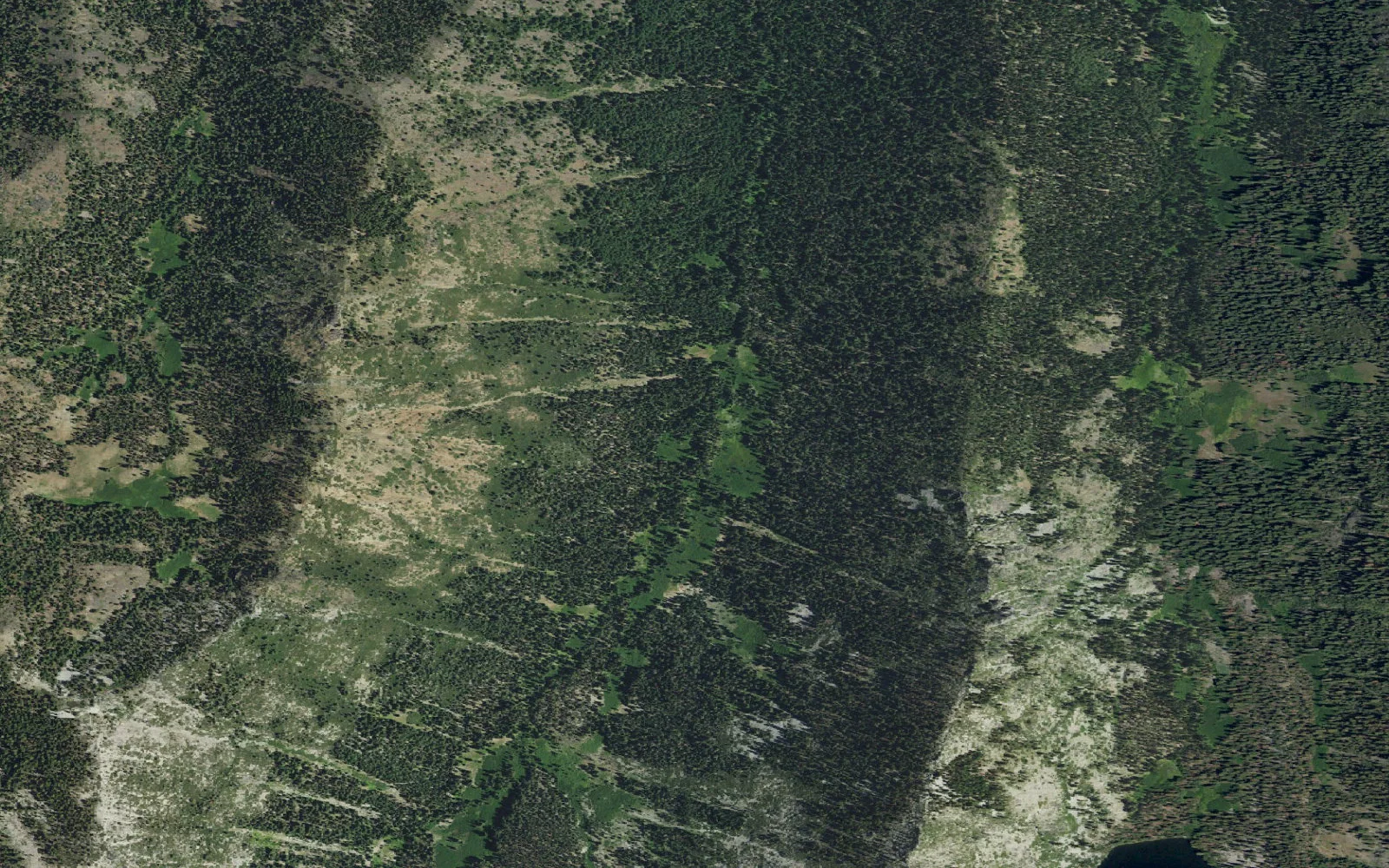 Aerial view centered on Fish Lake camp area