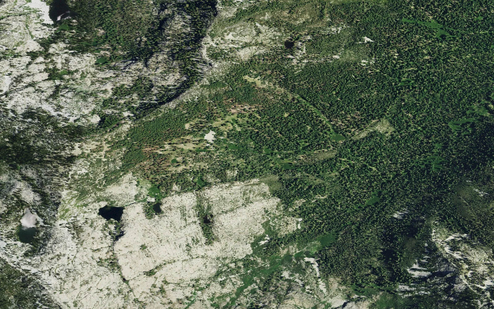 Aerial view centered on Sugar Pine Lake camp area