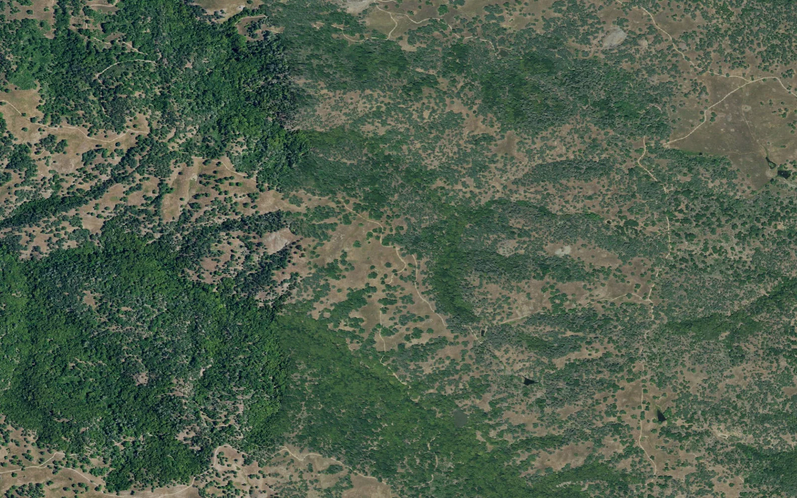 Aerial view centered on Maggie's Half Acre camp area
