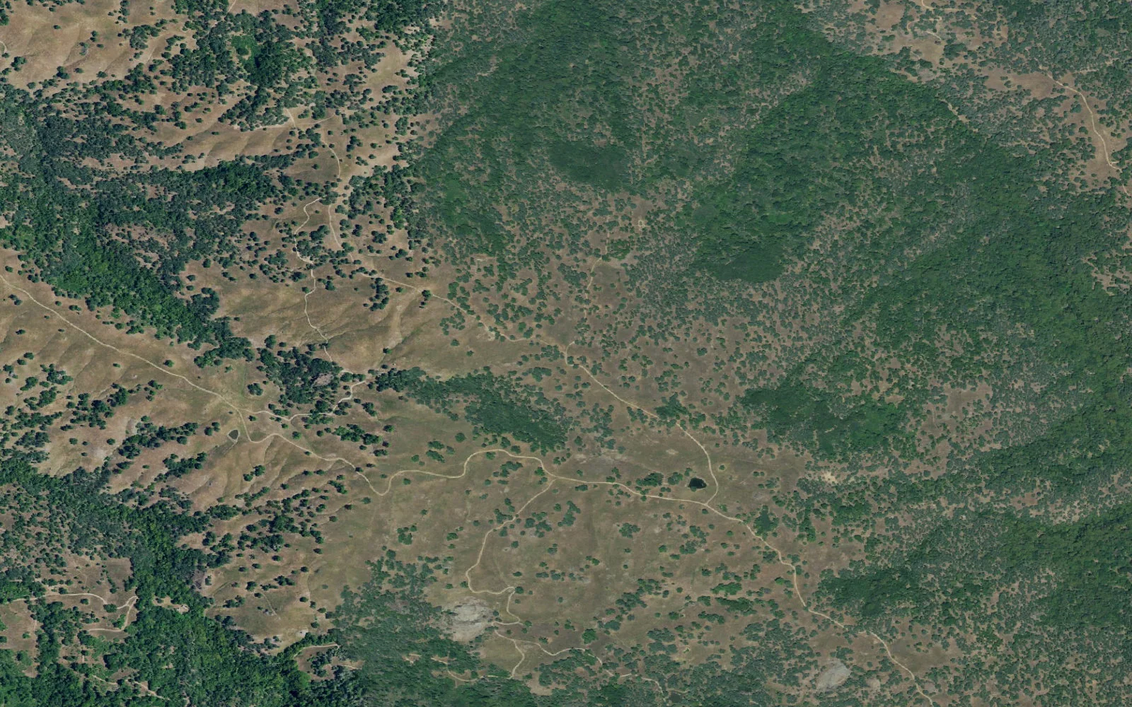 Aerial view centered on Stewart's Camp
