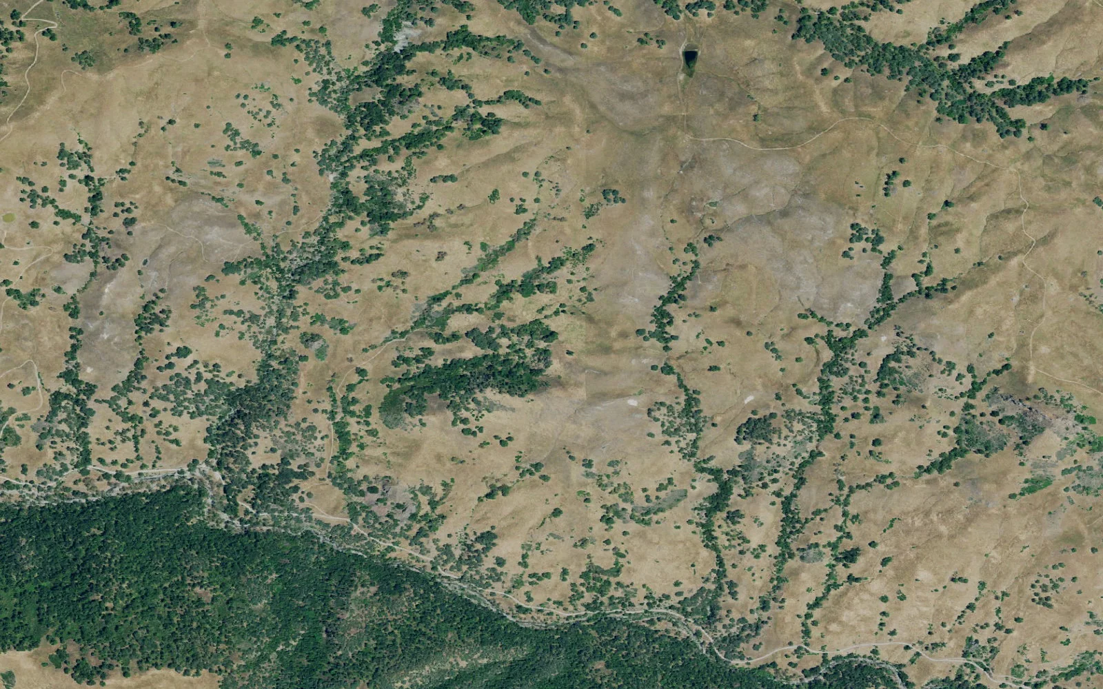 Aerial view centered on Cathedral camp area