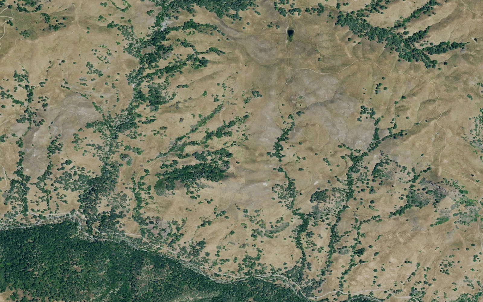 Aerial view centered on Eagle's Aerie camp area