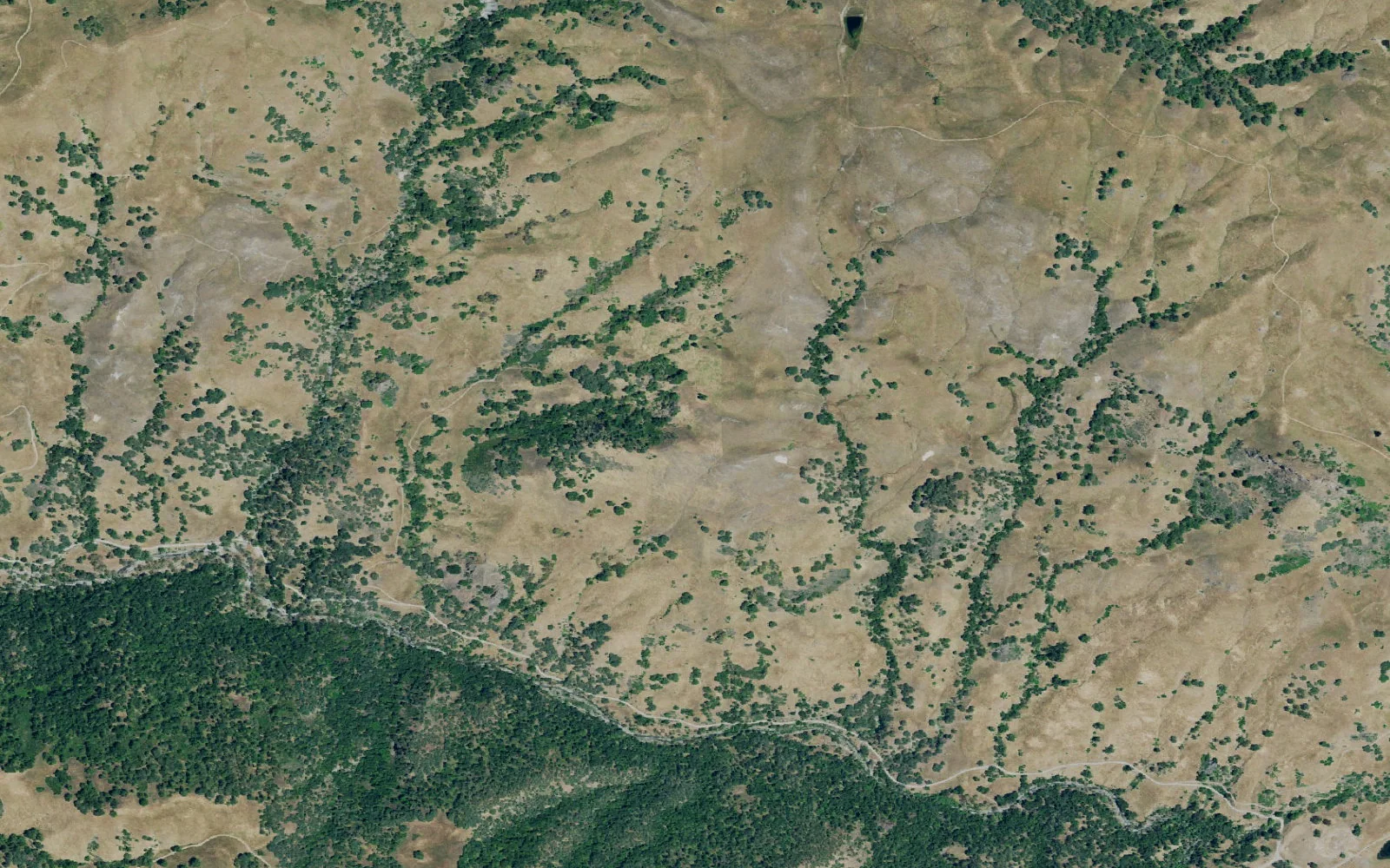 Aerial view centered on Hawk's Nest camp area
