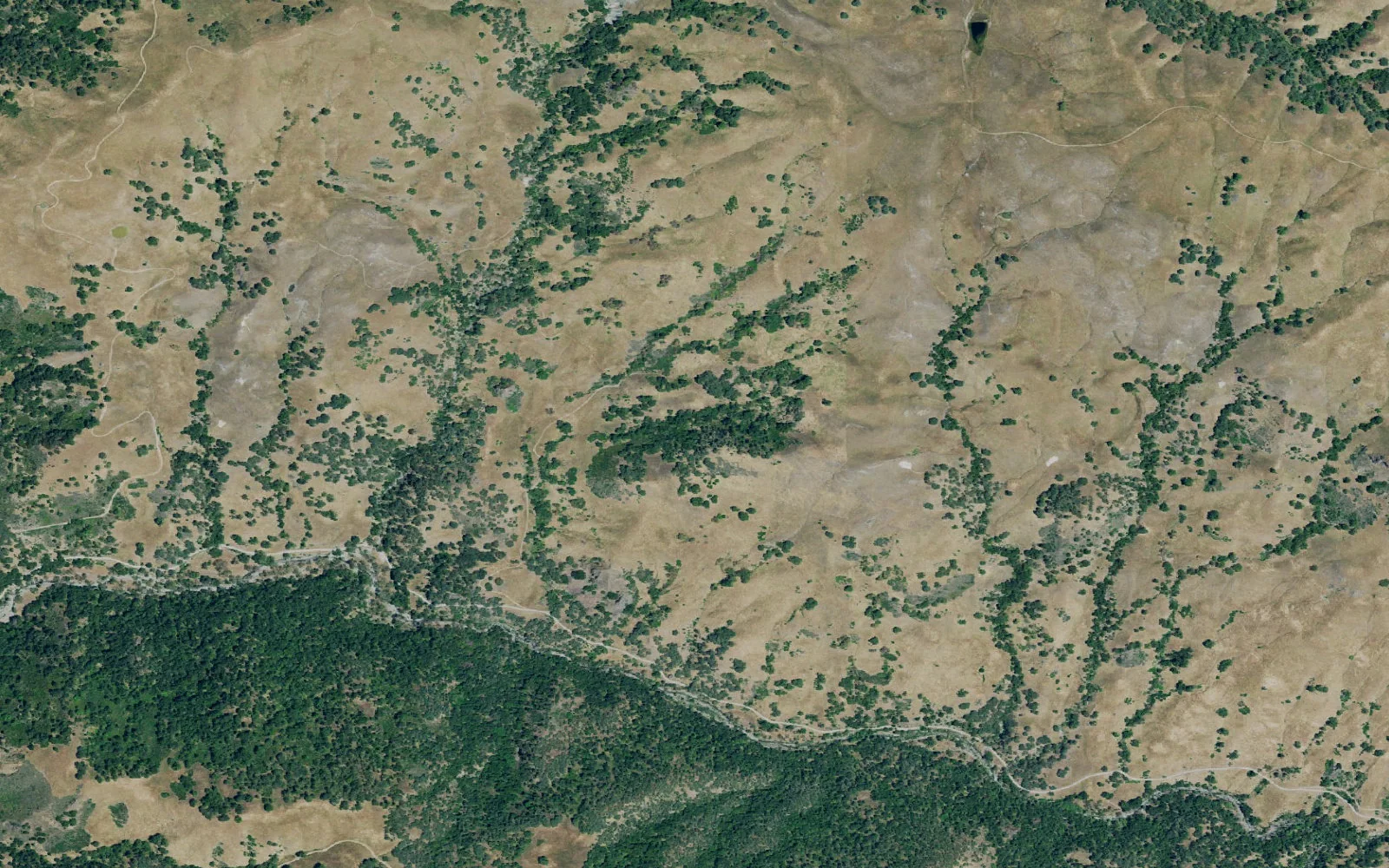 Aerial view centered on Oak View camp area