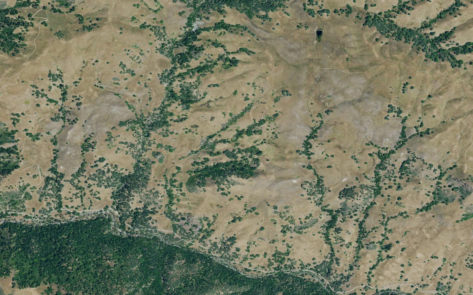 Aerial view centered on Star's Rest camp area
