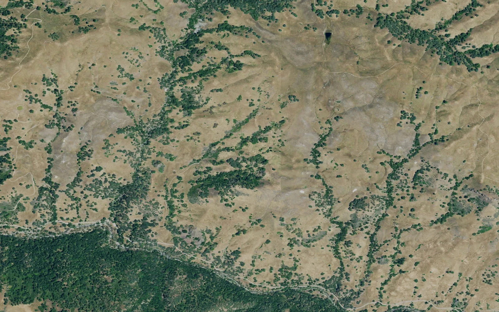 Aerial view centered on Sycamore camp area