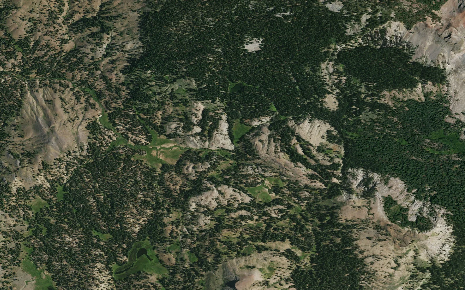 Aerial view centered on Upper Disaster Creek Backcountry Area camp area