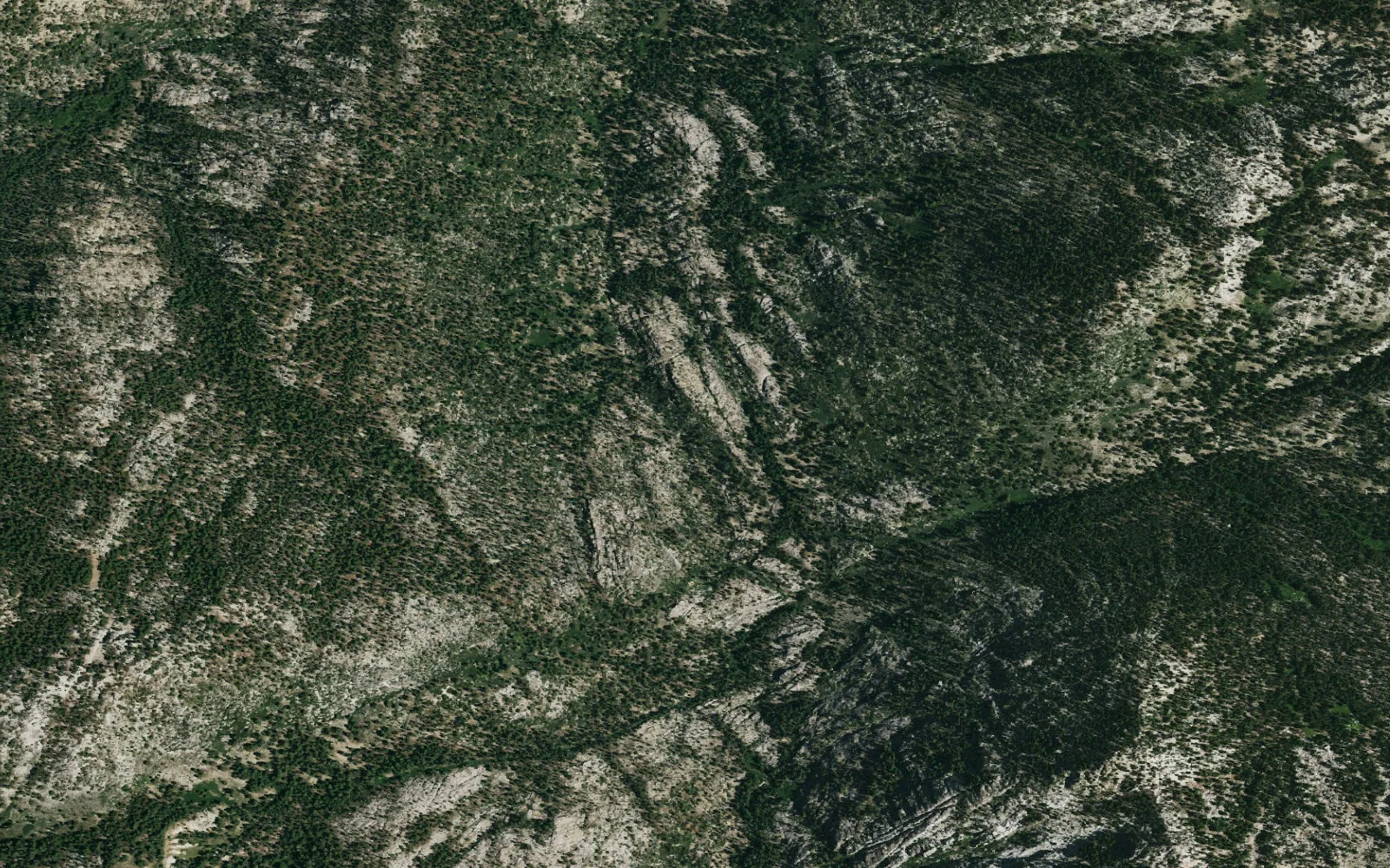 Aerial view centered on Adams Camp