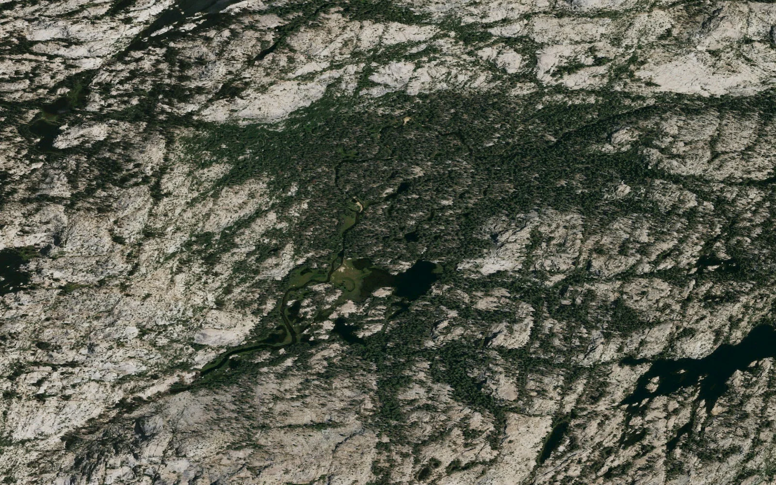 Aerial view centered on Cow Meadow Lake camp area