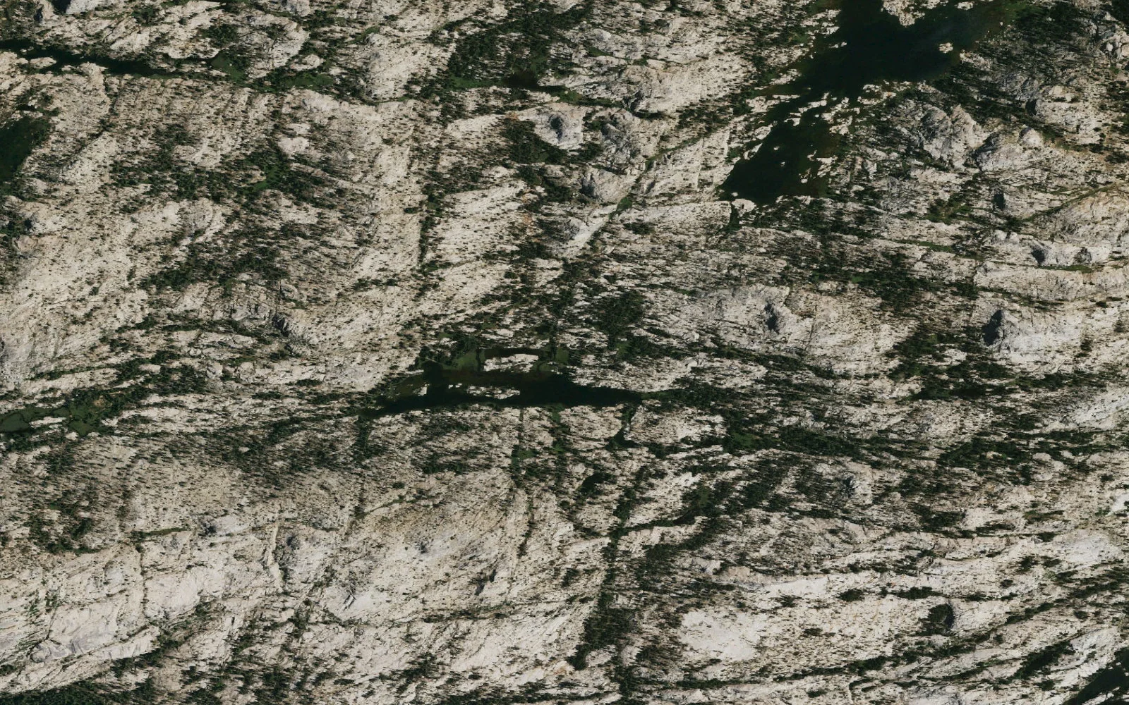 Aerial view centered on Deer Lake camp area