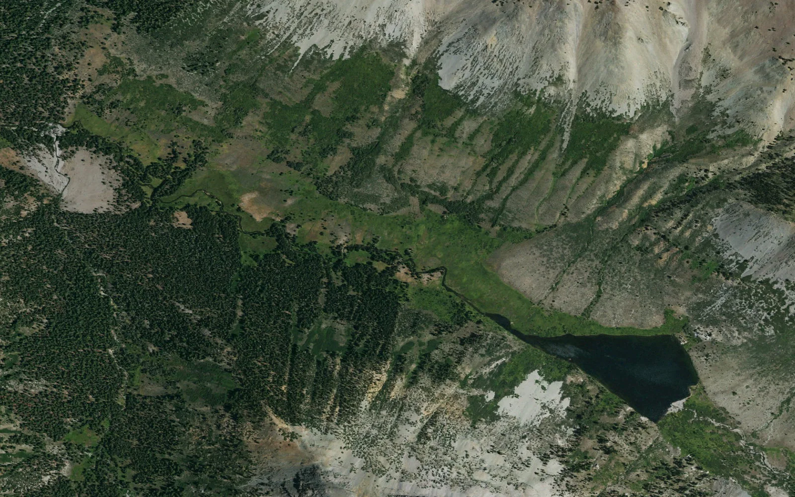 Aerial view centered on Kennedy Lake camp area