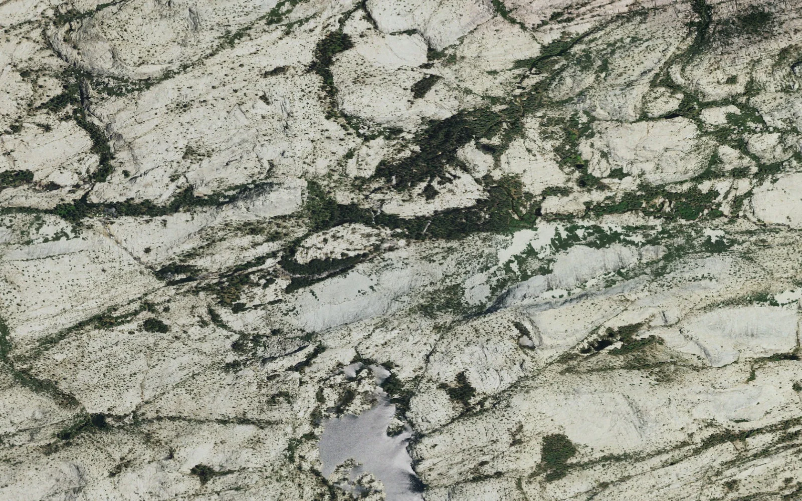 Aerial view centered on Lord Meadow camp area
