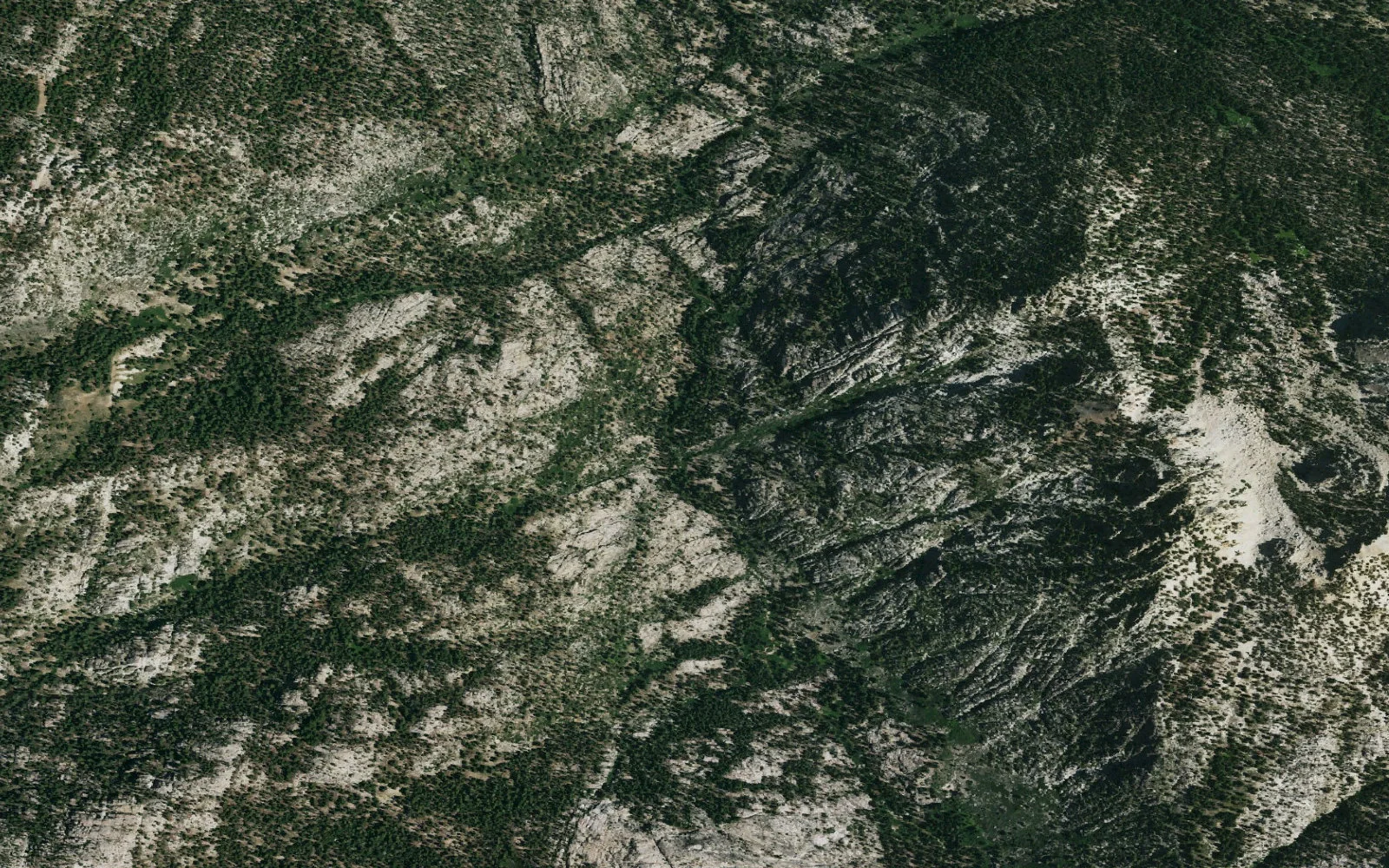 Aerial view centered on Wolf Creek Meadow camp area