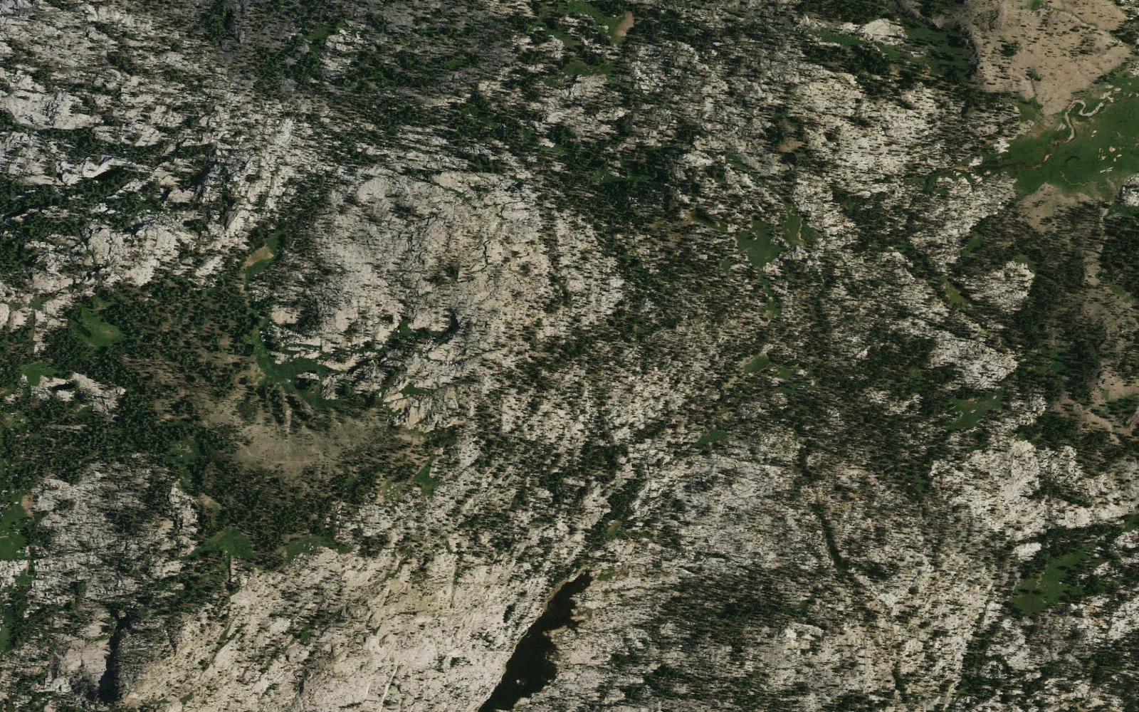 Aerial view centered on Y Meadow Lake camp area