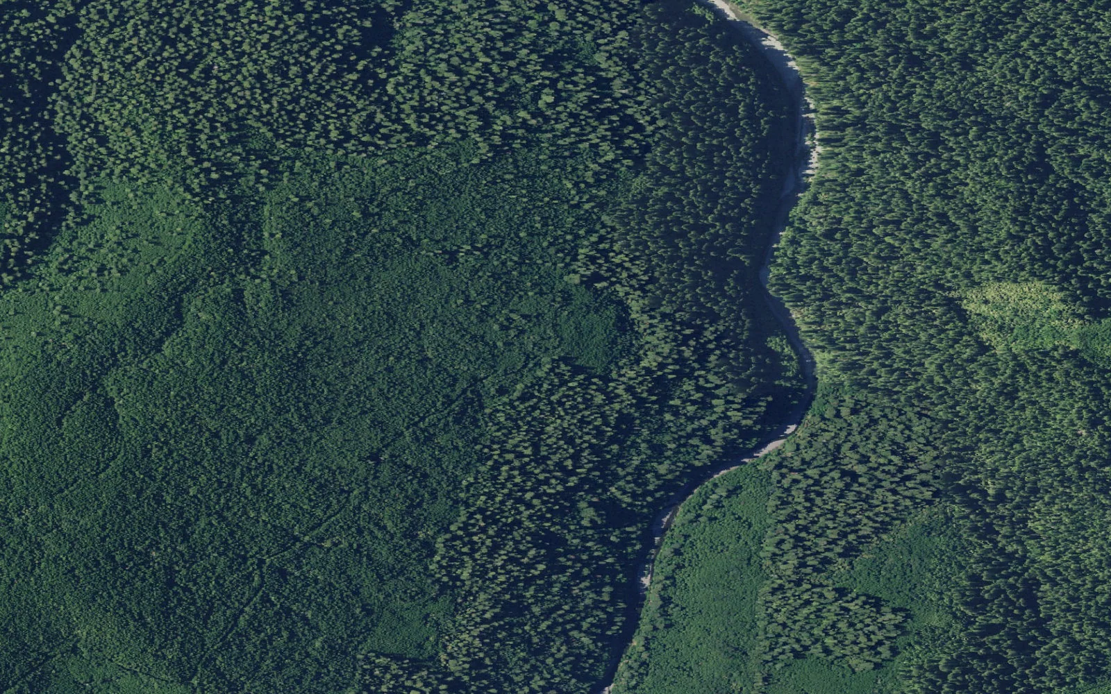 Aerial view centered on Redwood Creek Gravel Bar camp area