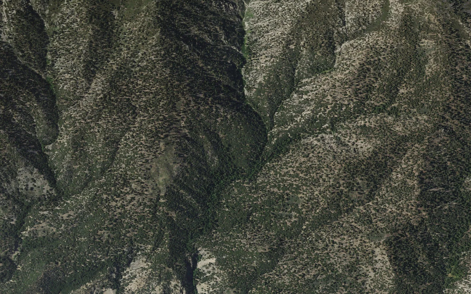 Aerial view centered on Alger Creek Camp