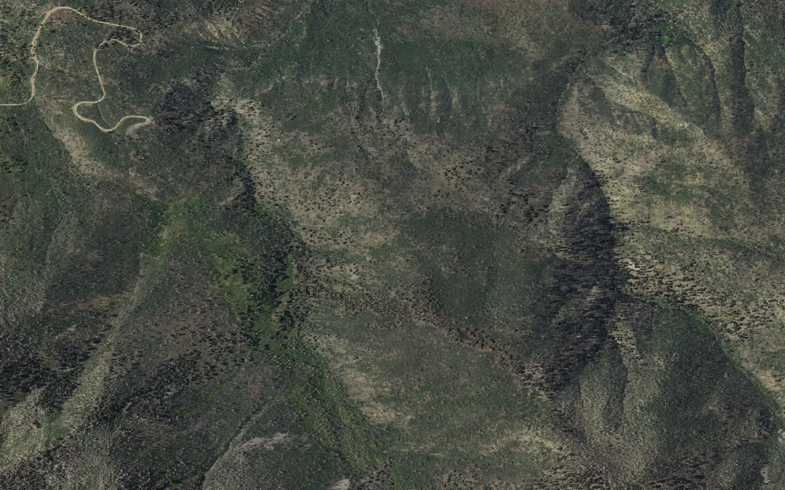 Aerial view centered on Anderson Flat camp area