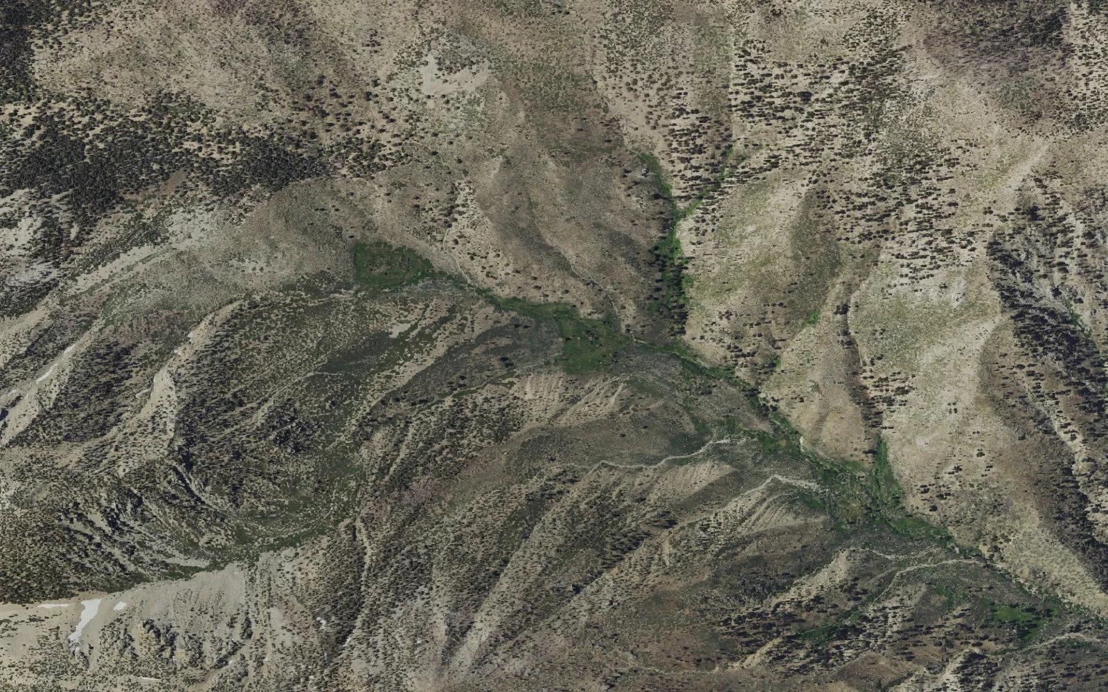 Aerial view centered on Big Tree Camp