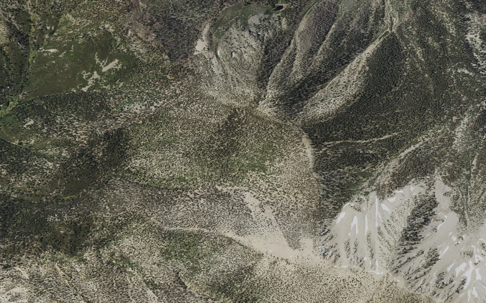 Aerial view centered on Dobbs Camp