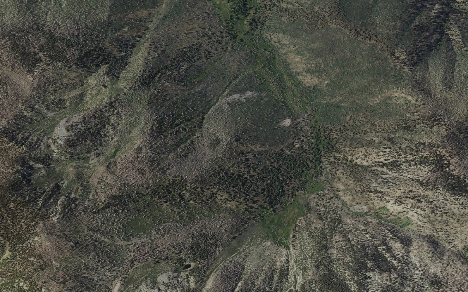 Aerial view centered on Dollar Lake Forks Trail Camp