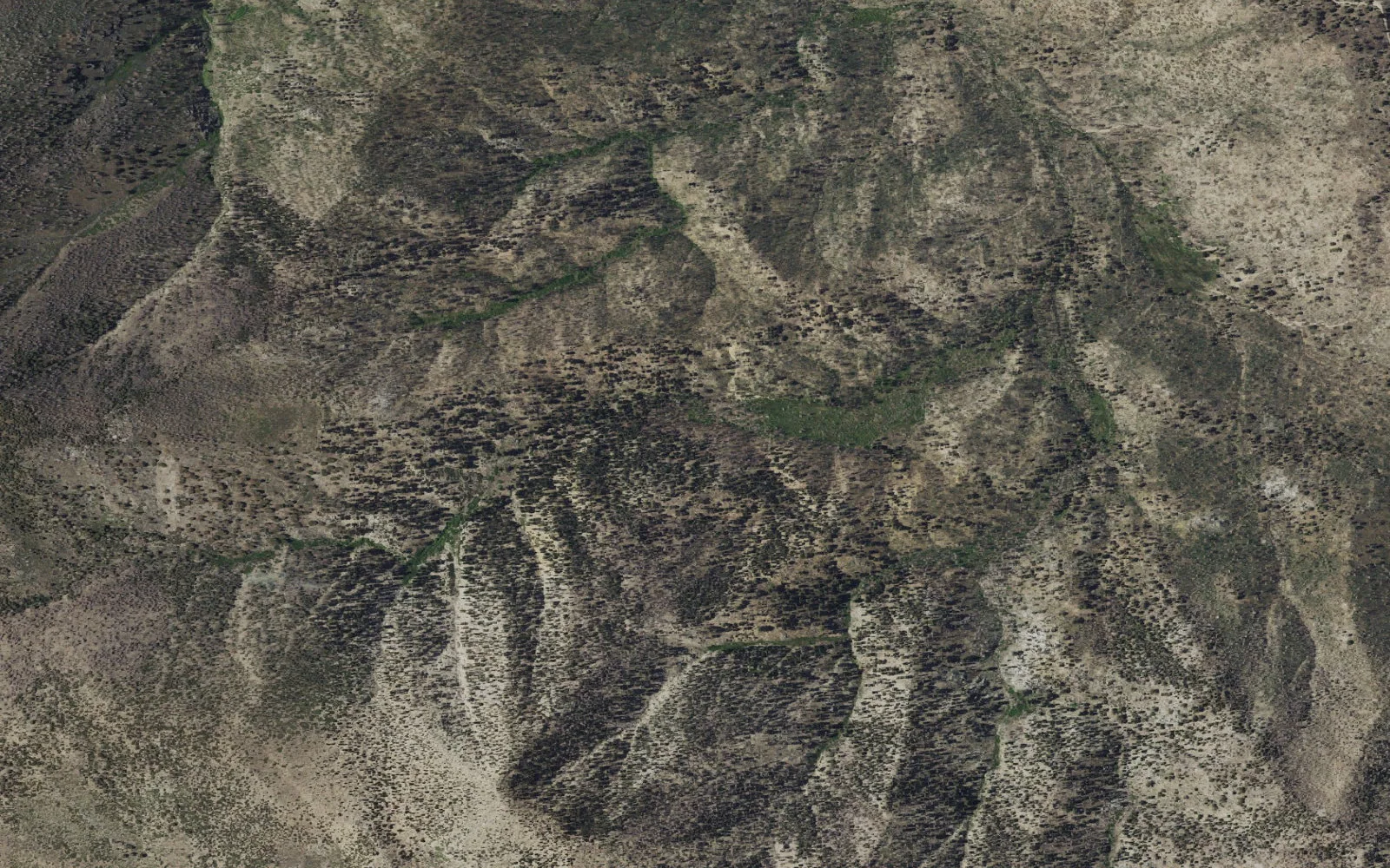 Aerial view centered on Fish Creek Trail Camp