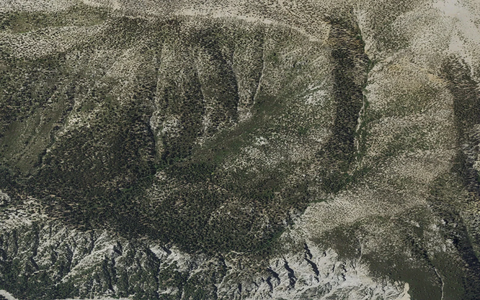 Aerial view centered on Halfway Camp